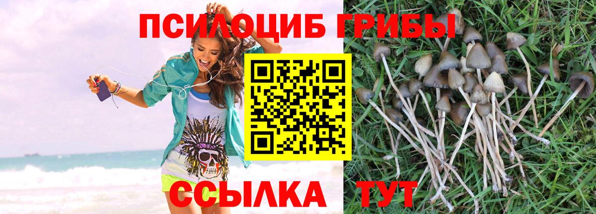 Псилоцибиновые грибы Magic Shrooms Майкоп