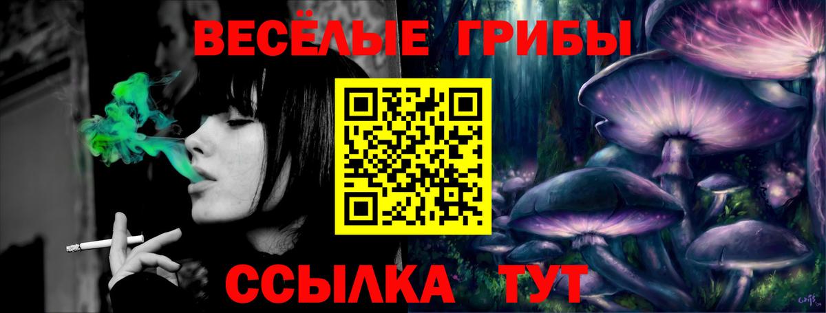 Галлюциногенные грибы прущие грибы  Псилоцибиновые грибы GOLDEN TEACHER  Вход с VPN  Майкоп 